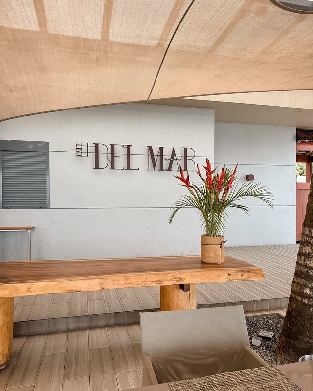 Café del Mar☕️