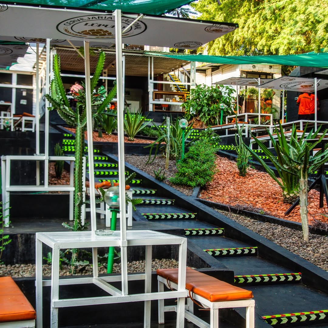 Lúpulo Cervejaria🍺